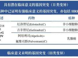 肺腺癌基因检测只有pik3ca