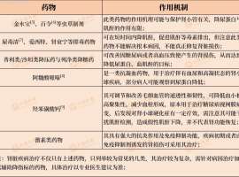 “肾”重起见，抗癌也得保肾