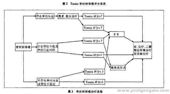 治疗流程.jpg