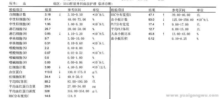 2017-1-17 白红细胞