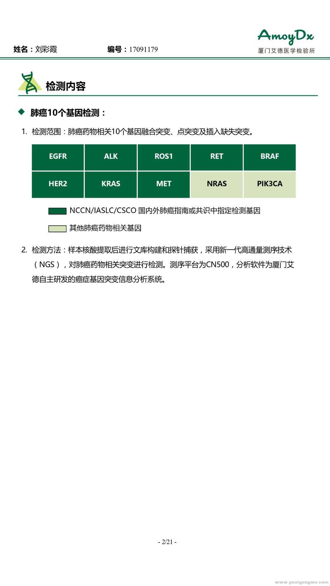 基因检测报告